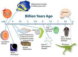 5 famous theories about how life evolved on earth